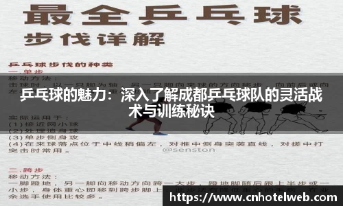 乒乓球的魅力:深入了解成都乒乓球队的灵活战术与训练秘诀